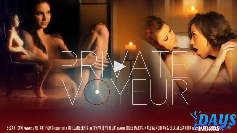 Private Voyeur (2012)